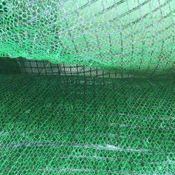 延壽縣玻纖土工格柵及土工布廠家訂購信息