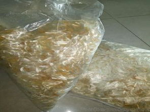 聚酯網(wǎng)狀纖維供應(yīng)與市場解析 供應(yīng)商、價格及批發(fā)渠道全指南